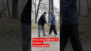 heavy force 沉劲 Part1:Common misconceptions #taijiquan #baguazhang #ziranmen #tutorials #onlineclass