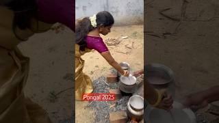 Pongal 2025 Celebration: Joy, Tradition, and Festive Vibes! 🪔 #Pongal2025 #FestiveVibes#tradition