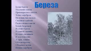 АСМР (ASMR) - Сергей Есенин — Белая береза под моим окном