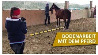 Bodenarbeit mit Pferden  Übungen mit Jenny von Blindly Follow Horses