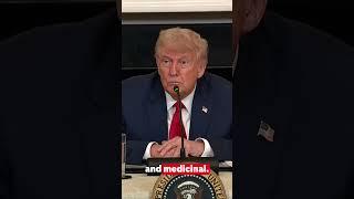Trump asked if he thinks Elon Musk ever had drugs at White House