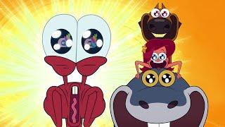 Zig & Sharko  NEW SEASON 3 EPISODES in HD  THE COOLEST SHELL