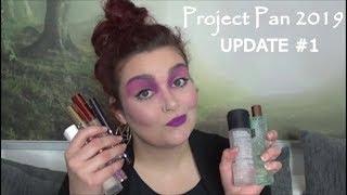 PROJECT PAN 2019 UPDATE #1 | #teamprojectpan | Desmodea