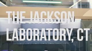 The Jackson Laboratory (Teaser)