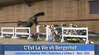 C'Est La Vie vh Bergerhof (jumping)