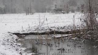 Winters wandelen op  Natuurkampeerterrein De Biezen