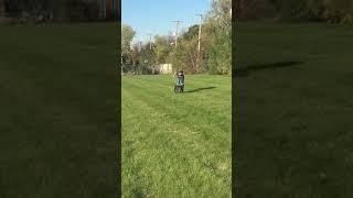 Georgia - walking