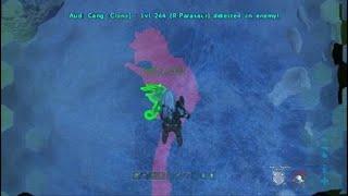 Mesh op
