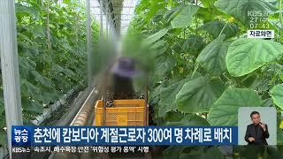 2024.3.27 KBS강원 뉴스광장