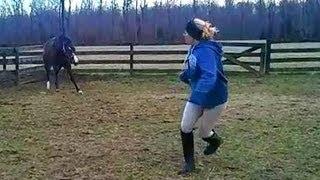 Killer Stud Horse Charges GIRL FAIL