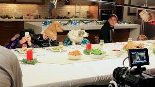 Freshpet Holiday Feast - Behind the Scenes