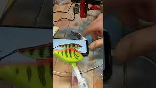 salmo slider...custom lures