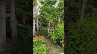 Daily life of a couple  #funny