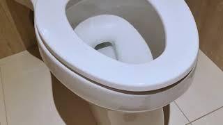 KOHLER's Compact Toilet Is a BREEZE to Clean!