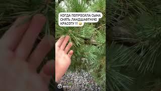 Со звуком #красивыйсад