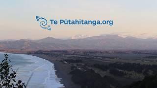 Te Pūtahitanga Growth