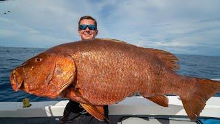 MASSIVE Mexican Cubera Snapper! Catch Clean Cook!