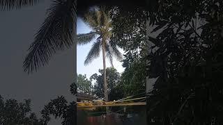 Natura Vibe### ###