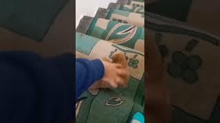 FALLING BEAR PET FROM FEISTY PETS FOR PIZZA #shorts #bearpetfromfeistypets