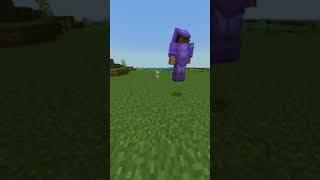 #gaming #minecraft #youtubeshorts hello guys pets are so cute nobody can kill him