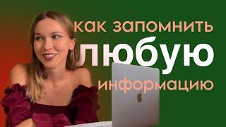 как выучить надолго любую информацию?