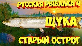 русская рыбалка 4 - Щука озеро Старый Острог - рр4 фарм Алексей Майоров