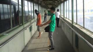 Harlem Shake (No Editors) Vol.1