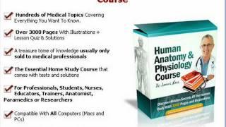 Human anatomy & physiology course