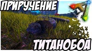 ARK  Survival Evolved - ПРИРУЧЕНИЕ ТИТАНОБОА! ПРИРУЧЕНИЕ ЗМЕИ! TAMING TITANOBOA!