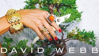 David Webb | Beverly Hills Calling