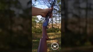 Разборная мелкашка Браунинг Тромбон #охота #hunter #оружие #hunting #gun #shotgun #guns #hunt