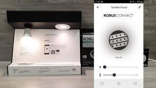 ROBUS CONNECT | How to Group Devices