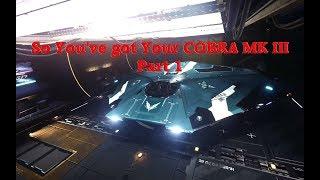 [Elite Dangerous] Beginner's So you ve got a Cobra MK III #1