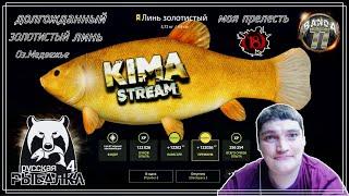 Русская Рыбалка 4Линь ЗОЛОТИСТЫЙ трофей Russian Fishing 4