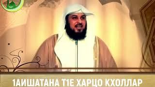 Шейх Мухьаммад аль-Арифи: 1аишатана т1е харцо кхоллар".