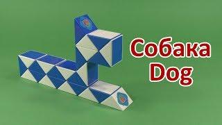 СОБАКА Змейка Рубика | DOG Rubik`s Snake