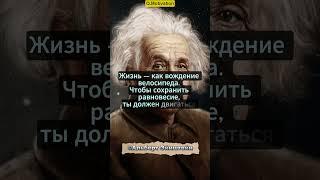 Альберт Эйнштейн | Жизни - велосипед#цитаты #мудрость #жизнь  #ученый