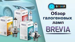 Обзор галогеновых автоламп Brevia