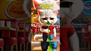 GATO CHEF NEGRO ENVENENA A GATOS BLANCOS‍#shorts #short #trending #tiktok #viralvideo #cat