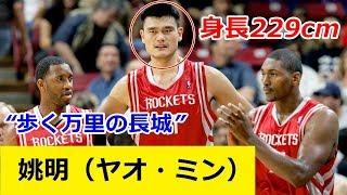 【バスケ】身長229cm！“歩く万里の長城”と称された中国の巨人 姚明（ヤオ・ミン）のプレイ動画集！【NBA】【センター】