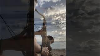 Another island - Pavel Sax Saxophone and ocean , in Mauritius