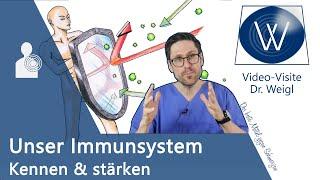 Mein Immunsystem: Wie schützt es mich vor dem Coronavirus?  Das eigene Abwehrsystem verstehen 