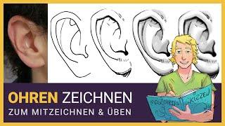 Grundlagen des Gesichter Zeichnens: So zeichnest du Ohren | Tutorial