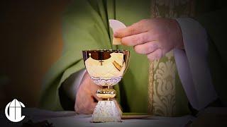 Catholic Mass Today: 11/17/24 | Thirty-Third Sunday in Ordinary Time