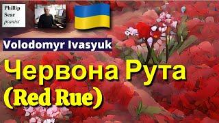 Volodomyr Ivasyuk: Червона Рута (Red Rue)