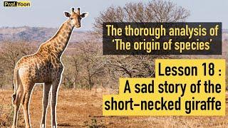 Lesson18: A sad story of the short-necked giraffe(The origin of species/Darwin/Creation/Evolution)