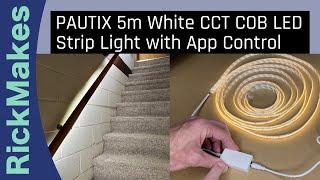 PAUTIX 5m White CCT COB LED Strip Light with App Control