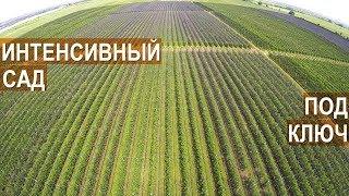 Интенсивный сад под ключ. Агроэкспедиция в Кабардино-Балкарию