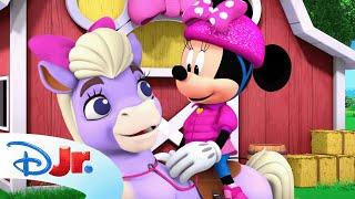 Minnie's Bow-Toons: Camp Minnie ️ | The Pony Paddle | @disneyjr​