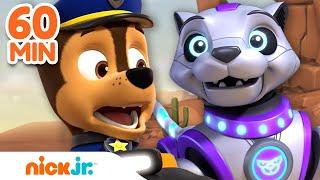 PAW Patrol Mega Robot Rescues! w/ Chase, Skye & Robo-Dog | 1 Hour Compilation | Nick Jr.